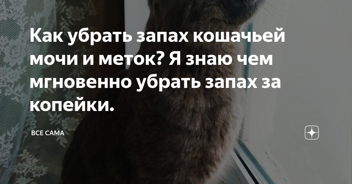 После родов пахнет мочой. Как избавиться от запаха кота метки в квартире. Пахнет кошачьей мочой. Как пахнут кошачьи метки. Пот пахнет кошачьей мочой причины.