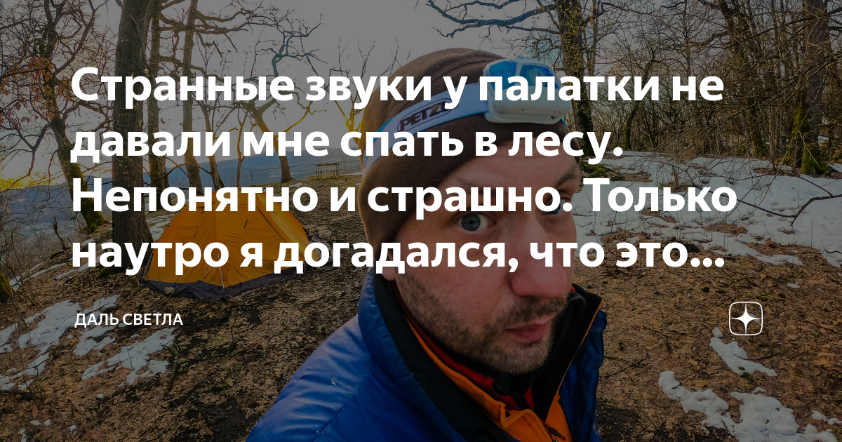 Странные звуки у палатки не давали мне спать в лесу. Непонятно и ...