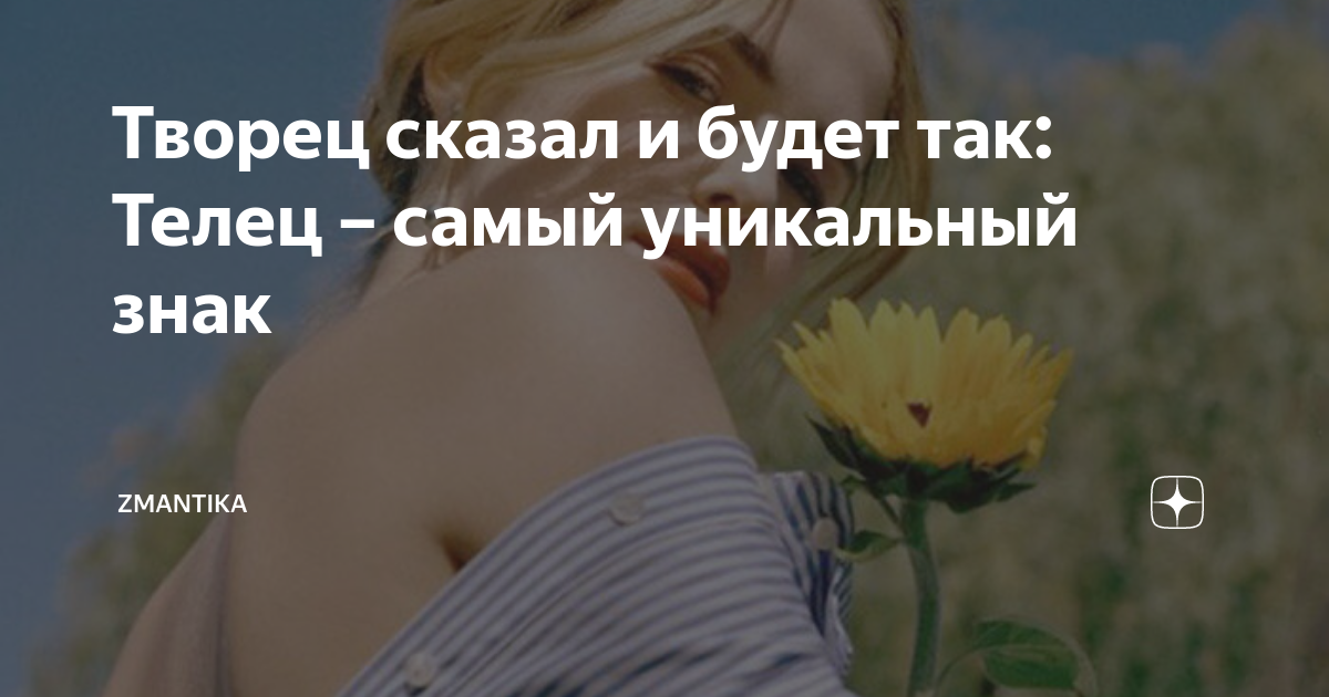 Скажи создателя