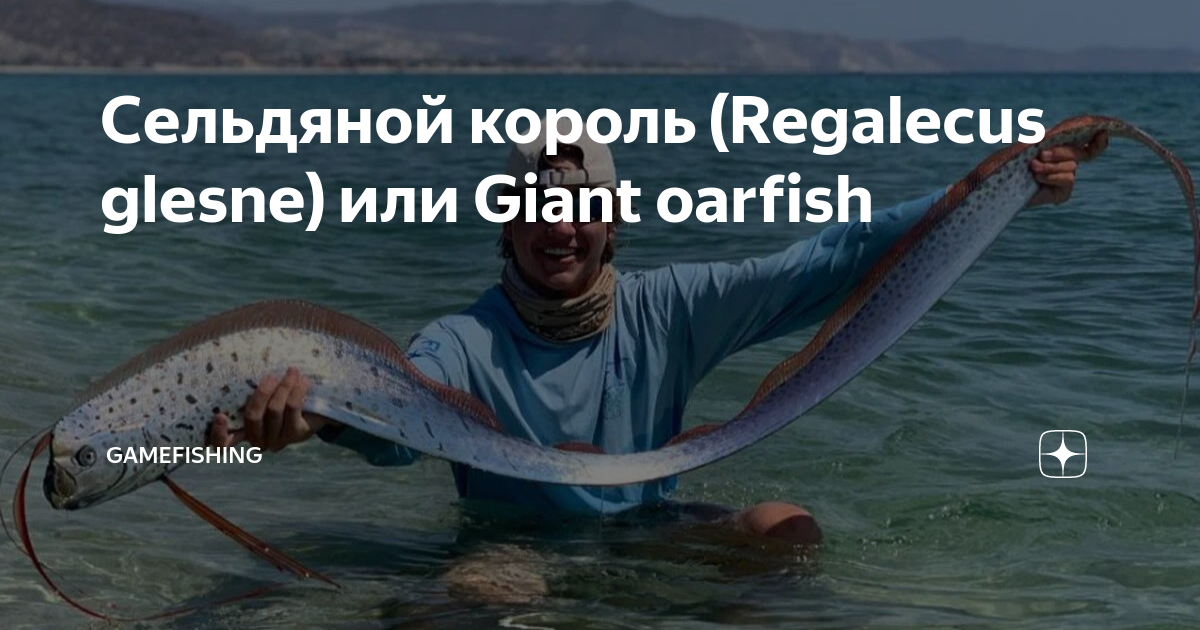 regalecus-glesne-giant-oarfish-gamefishing