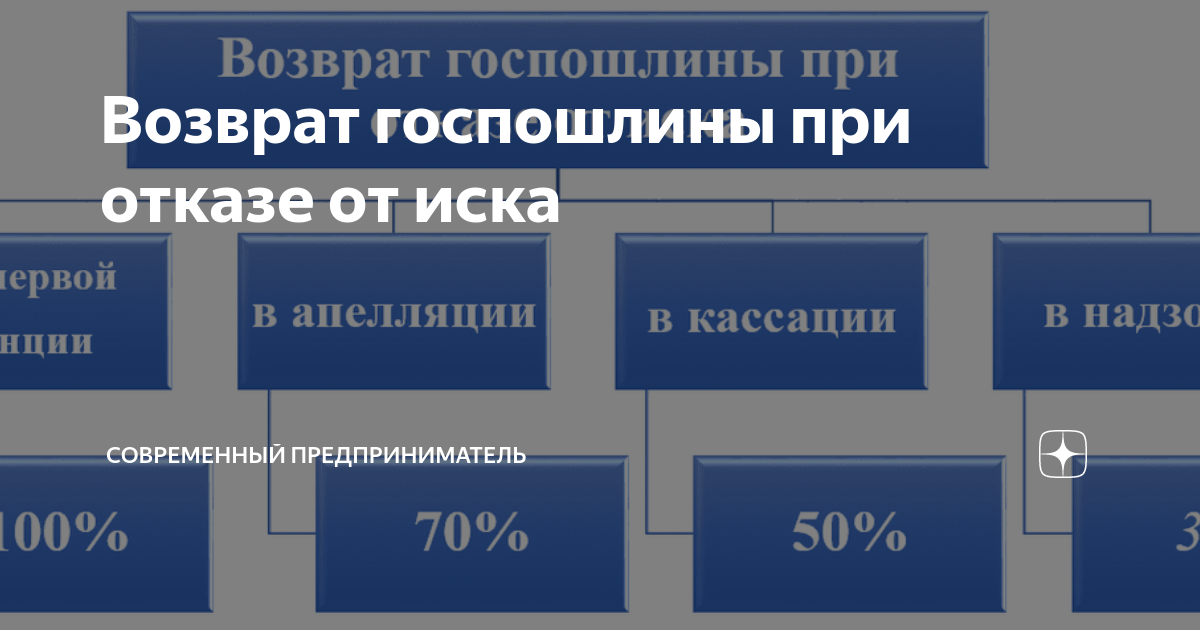 Возврат госпошлины при отказе от иска | СОВРЕМЕННЫЙ ПРЕДПРИНИМАТЕЛЬ | Дзен