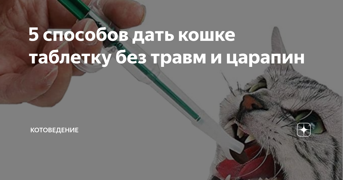 как успокоить кошку во время течки лекарства