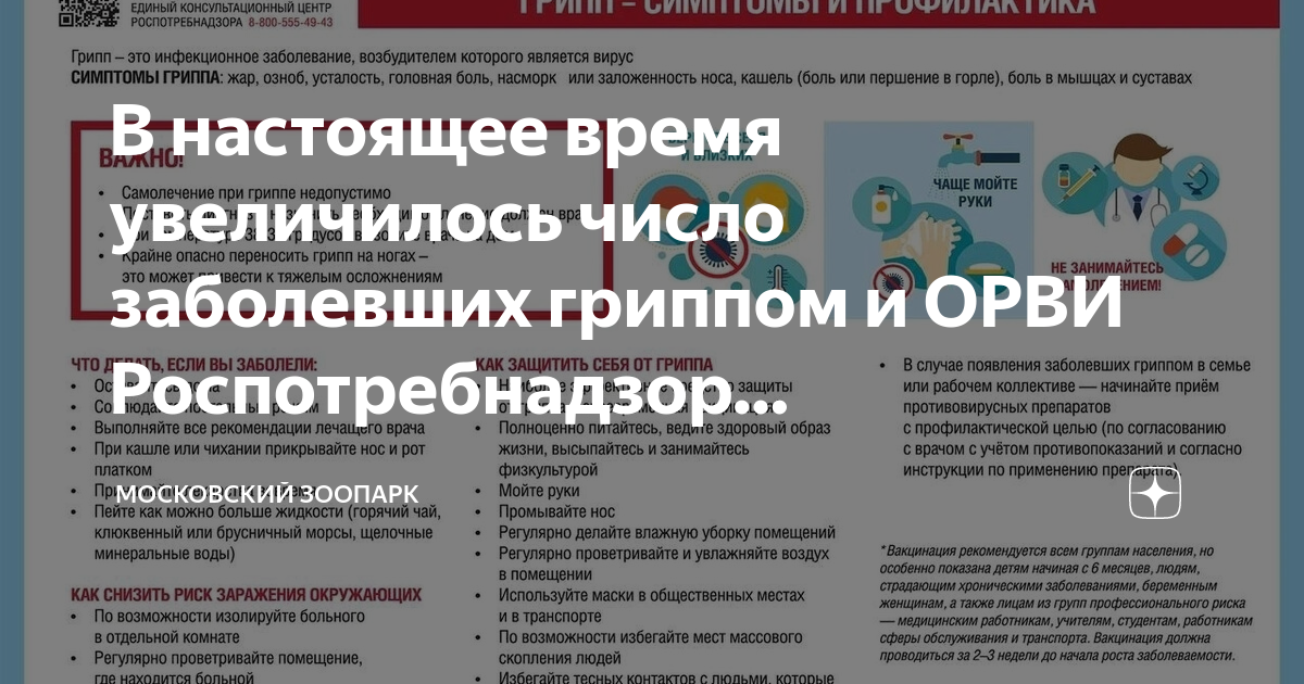 Орви 2024 чем лечить. Вакцинация от гриппа в Москве.