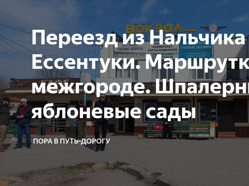 Пора в путь дорогу картинки прикольные