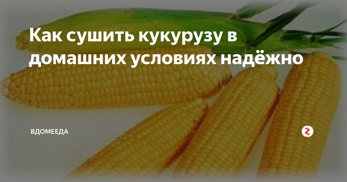 Как сварить кукурузу, чтобы она была мягкая, сочная и вкусная: тонкости процесса