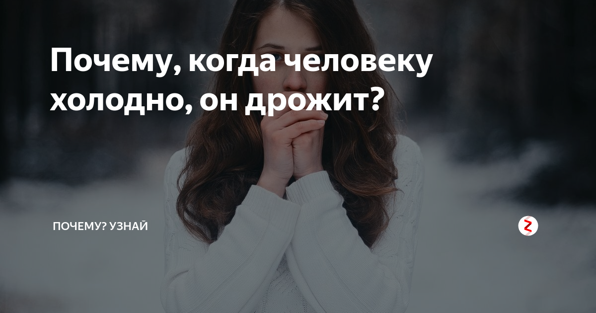 Как быть холодным человеком. Как быть холодным человеком