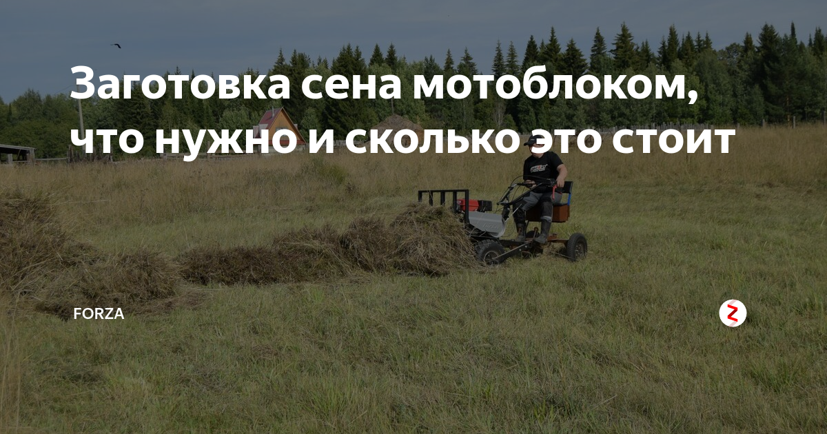 Заготовка сена мотоблоком, что нужно и сколько это стоит | Forza | Дзен