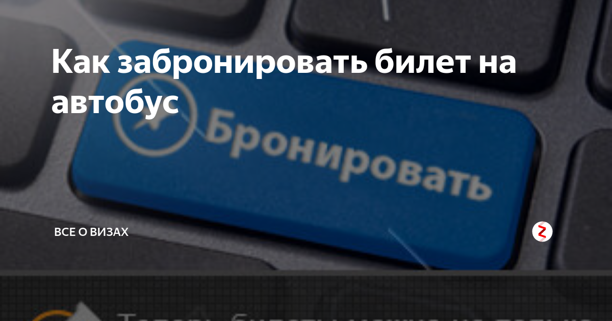 Телефоны бронирования билетов на автобус. Забронировать билет на автобус. бронирование билетов автовокзал. бронирование автобусных билетов. как забронировать билет?.