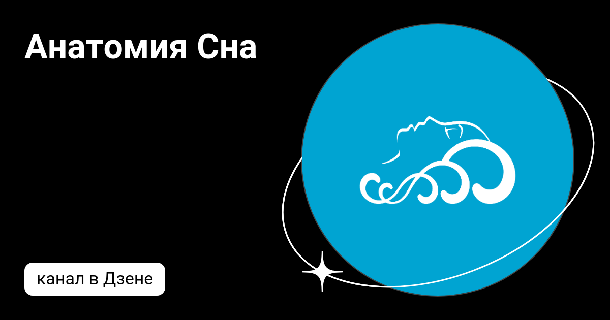 Анатомия Сна | Дзен