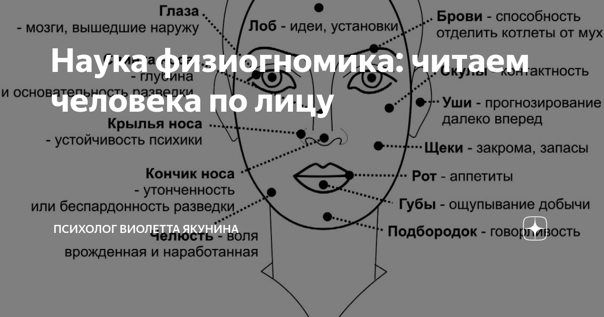 Что означает родинка на подбородке. Физиогномика лица и характер схемы. Наука физиогномика. Характер человека по лицу с картинками. Чтение по лицу физиогномика.