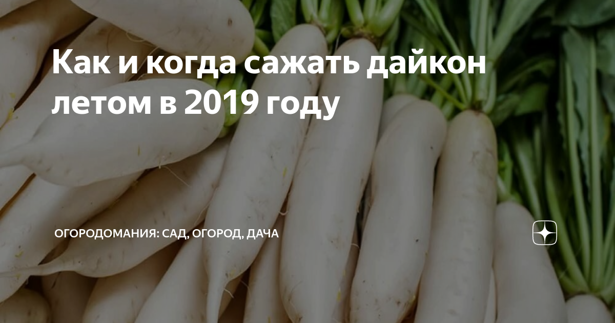 Благоприятные дни для посева посадки. Благоприяныедни для посева. Благоприятные дни для посадки дайкона. Когда посадочные дни в марте. Таблица посадки рассады.