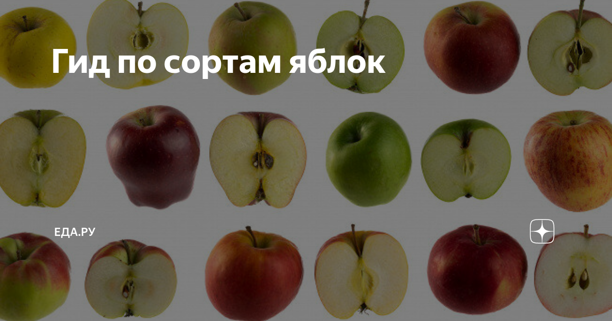 Кто может определить сорт яблок. - Мир растений