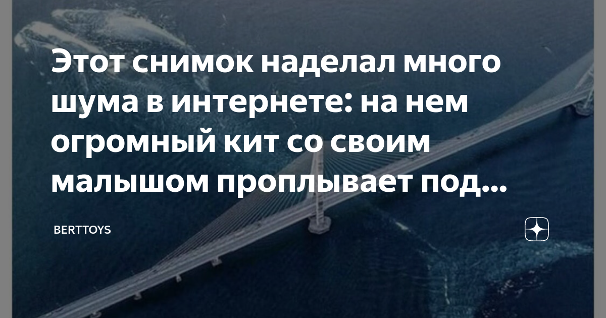 Наделавшая когда то шуму речка. Кит под мостом. Кит проплывает под мостом. Кот проплывает под мостом. Кит проплывает под мостом Канада.