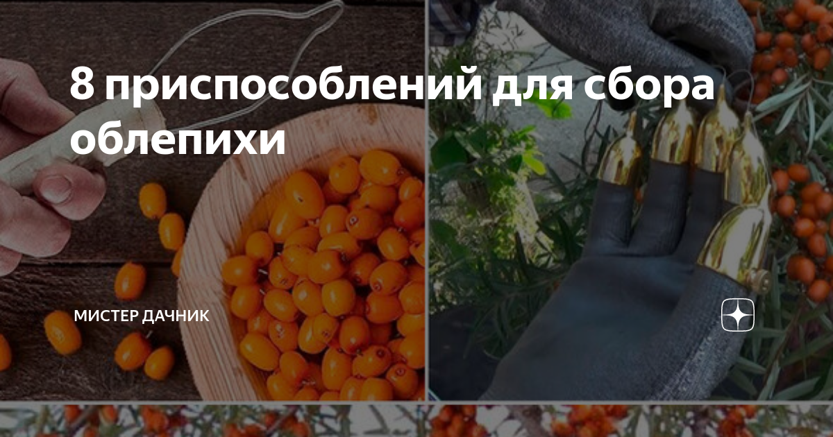 Хитрое приспособление для сбора облепихи,крыжовника,вишни из пластика.Инструмент