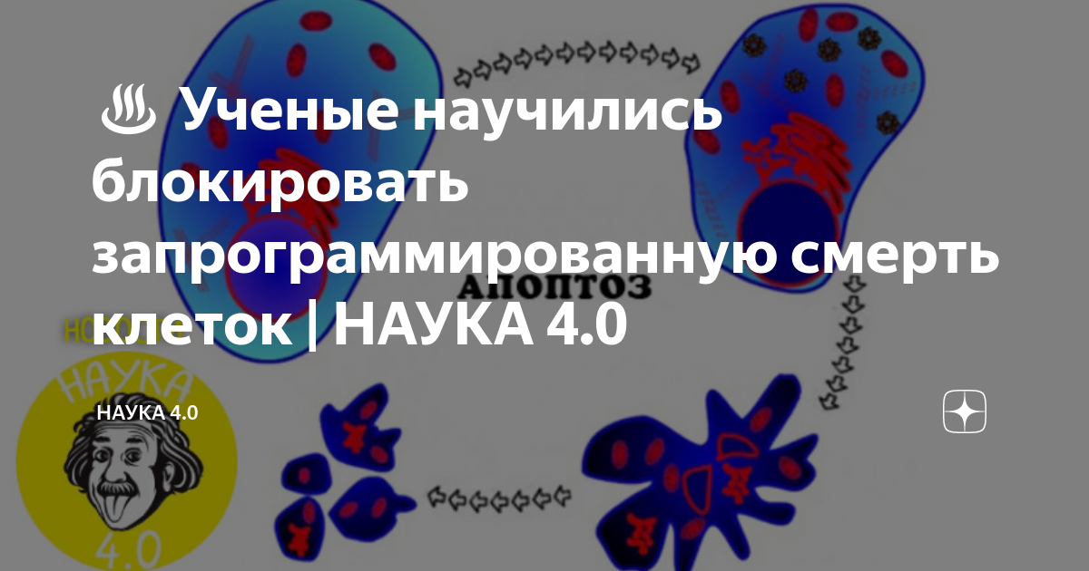 Науки 4