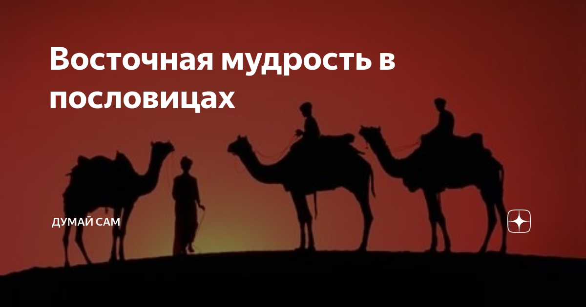 Восточная мудрость в пословицах | Думай сам | Дзен