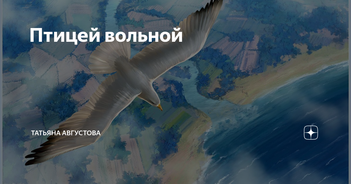 Песня птицей стать вольной. Вольная птица. Птица Вольная Инстаграм. Ну птицей вольной.