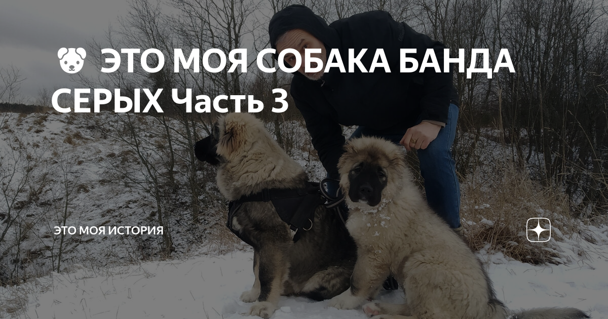 Кавказские истории любви 18. Кавказские девушки в платках. Кавказские девушки с детьми. Кавказские истории любви. Кавказская мама рассказы.