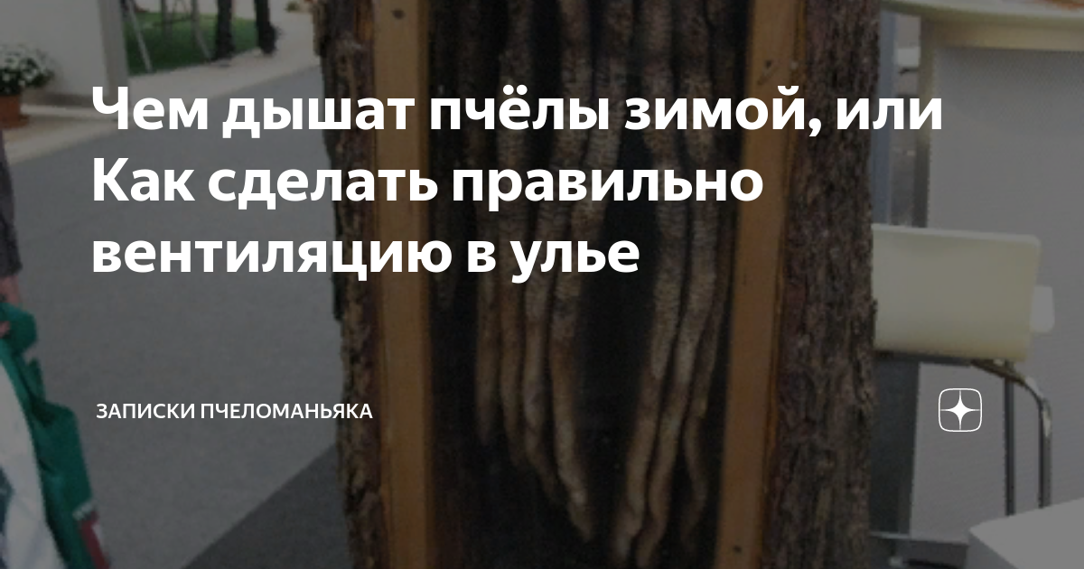 Чем дышат пчёлы зимой, или Как сделать правильно вентиляцию в улье ...