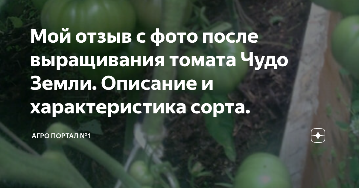 Рассказы региональных победителей четвертого сезона Всероссийского литературного конкурса 