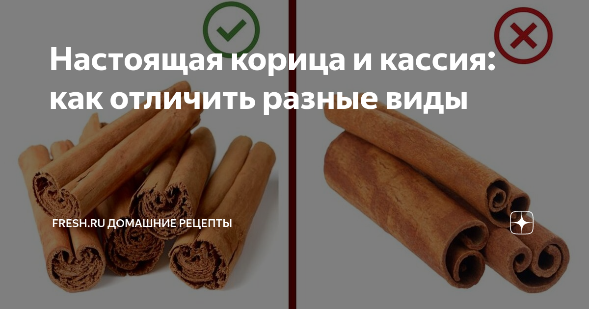Настоящая корица и кассия: как отличить разные виды | Fresh.ru домашние ...