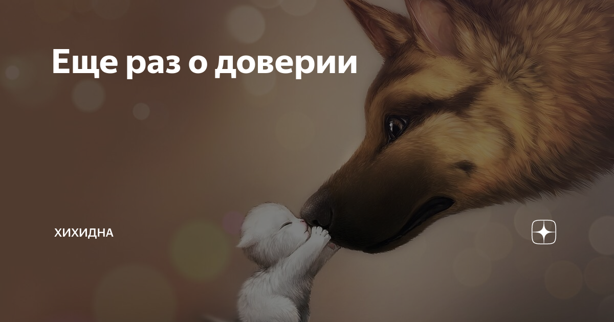 Дзен карикатура. Хихидна дзен. Дзен читать про животных. За чашкой кофе яндекс дзен. Дзен философия.