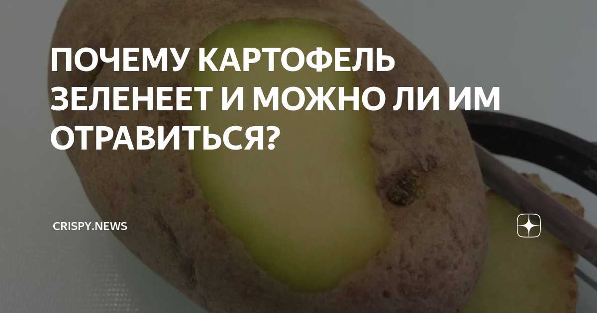 Зеленый картофель: в чем опасность употребления и можно ли его покупать