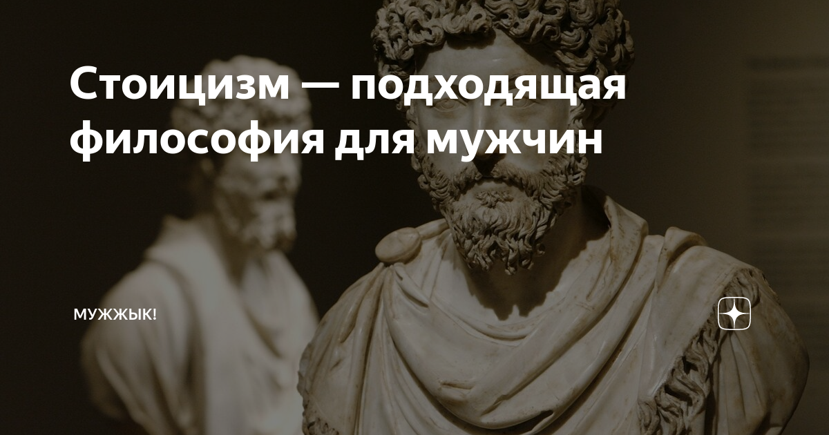 Стоицизм в философии. Йонас зальцгебер. Стоицизм для нашего времени. Стоики философы. Стоицизм для нашего времени.