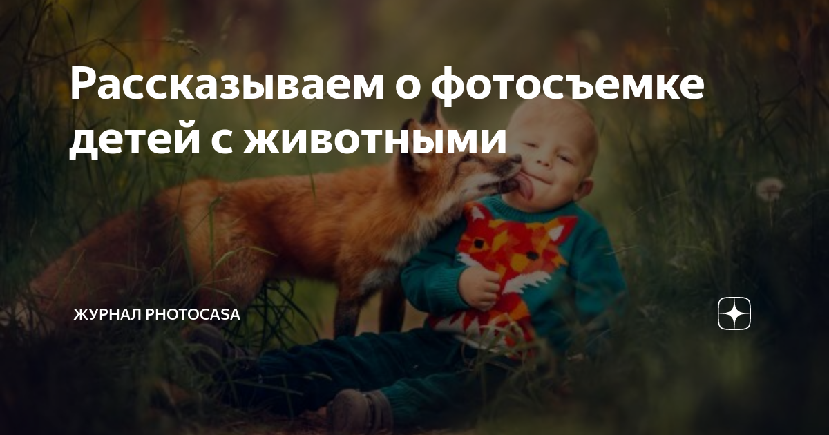 Рассказываем о фотосъемке детей с животными | Журнал PhotoCASA | Дзен