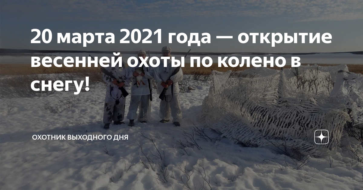 Сроки весенней охоты 2024 в новосибирской области