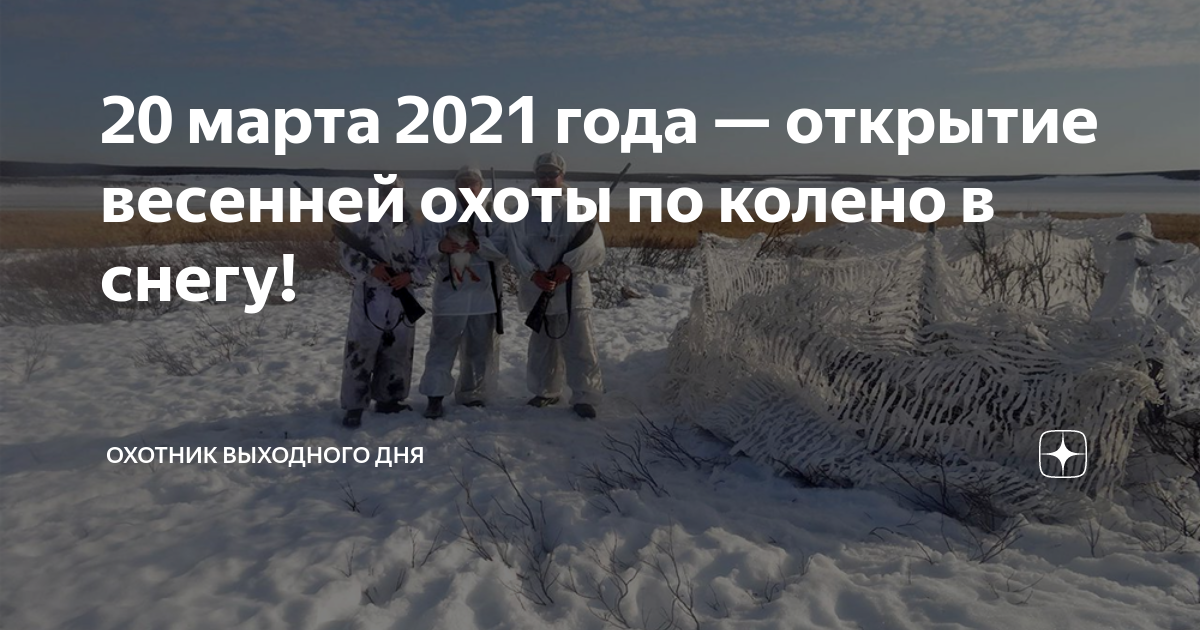 Сроки весенней охоты 2024 в ленинградской
