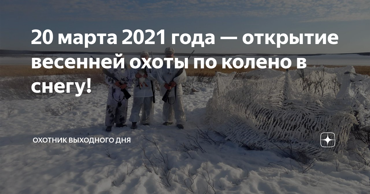 Сроки весенней охоты 2024 в башкирии