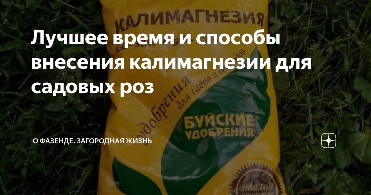 Лучшее время и способы внесения калимагнезии для садовых роз | О ...