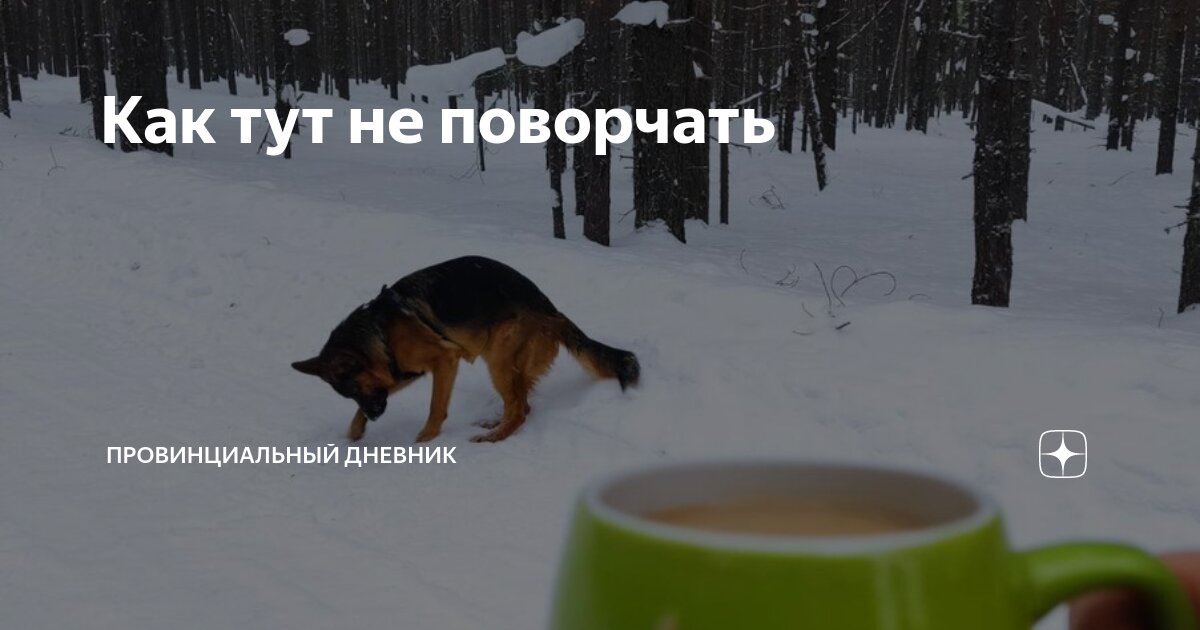 Как тут не поворчать | Провинциальный дневник | Дзен