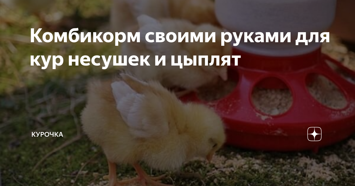 Рецепт комбикорма для гусей своими руками