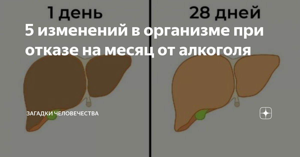 Что произойдет если не пить. Изменения в организме.