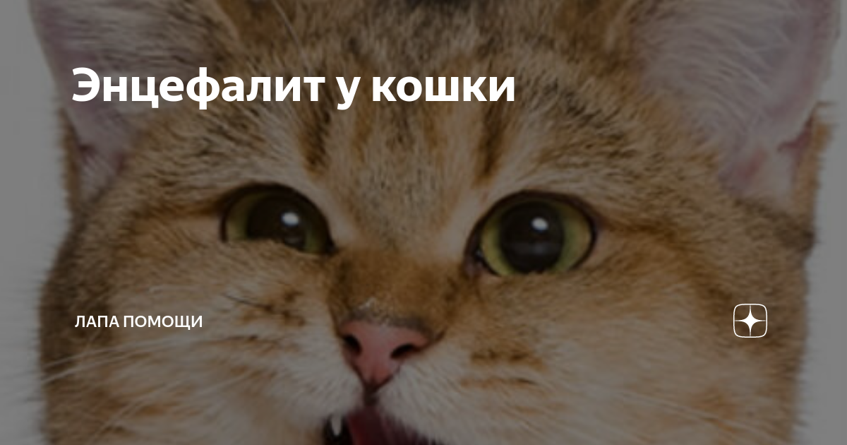 Потеря аппетита