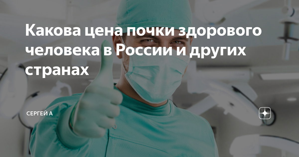 Какова цена почки здорового человека в России и других странах | Сергей ...