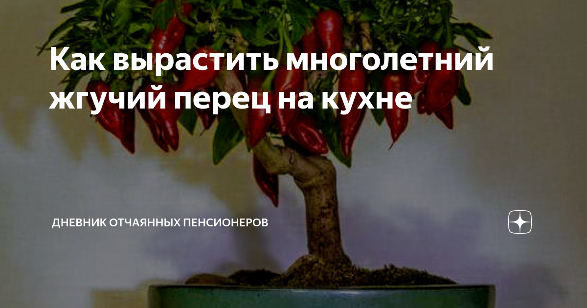 Как красиво повесить горький перец на кухне