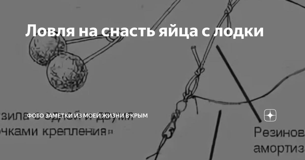 Ловля леща на яйца в подробностях: что, как, куда, зачем