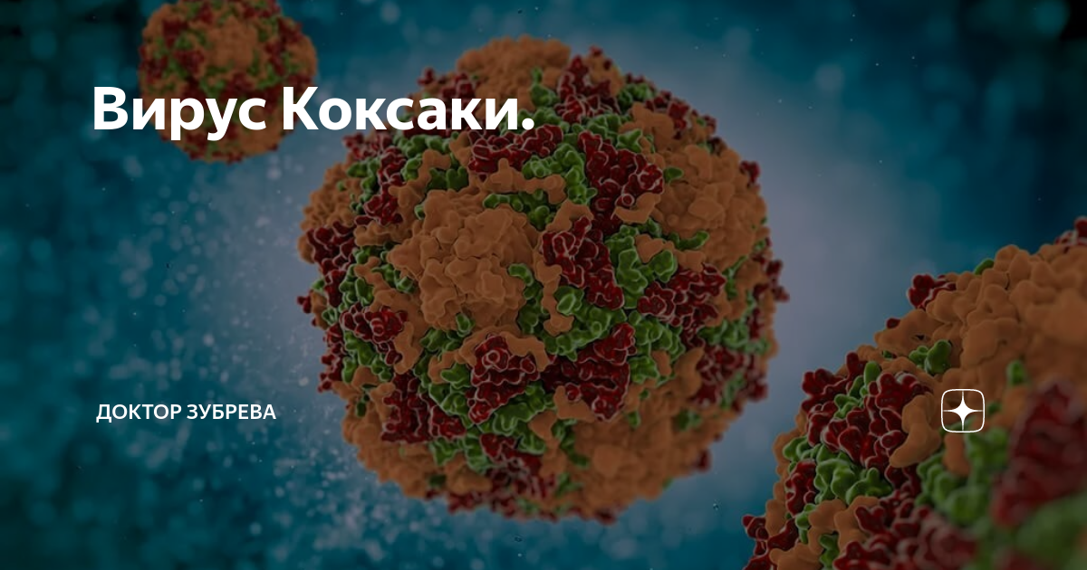 Лечение вируса коксаки. Коксаки под микроскопом. Вирус Коксаки эпидемиология.