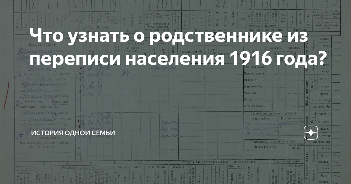 Перепись тобольской губернии. Подворные карточки сельскохозяйственной переписи 1917 года. Карточки переписи 1916 года подворные. Сельскохозяйственные переписи 1916 и 1917. Переписная карточка 1917.