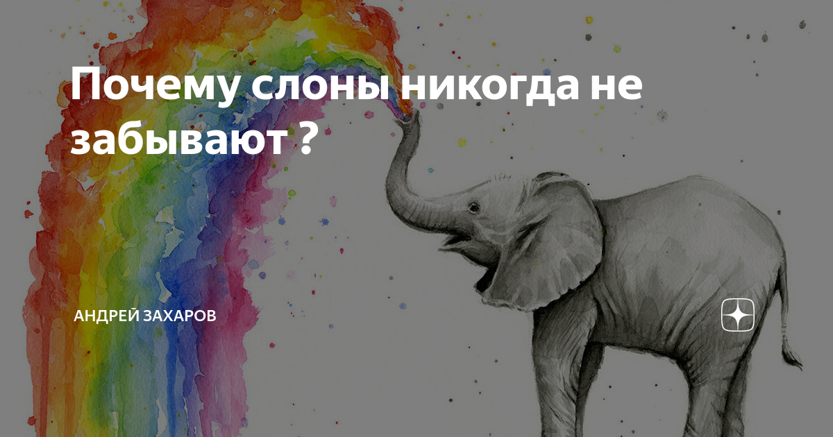 слон факты для детей. слоны мемы. слон ничего не забывает. слоны ничего не забывают. смешные комиксы.
