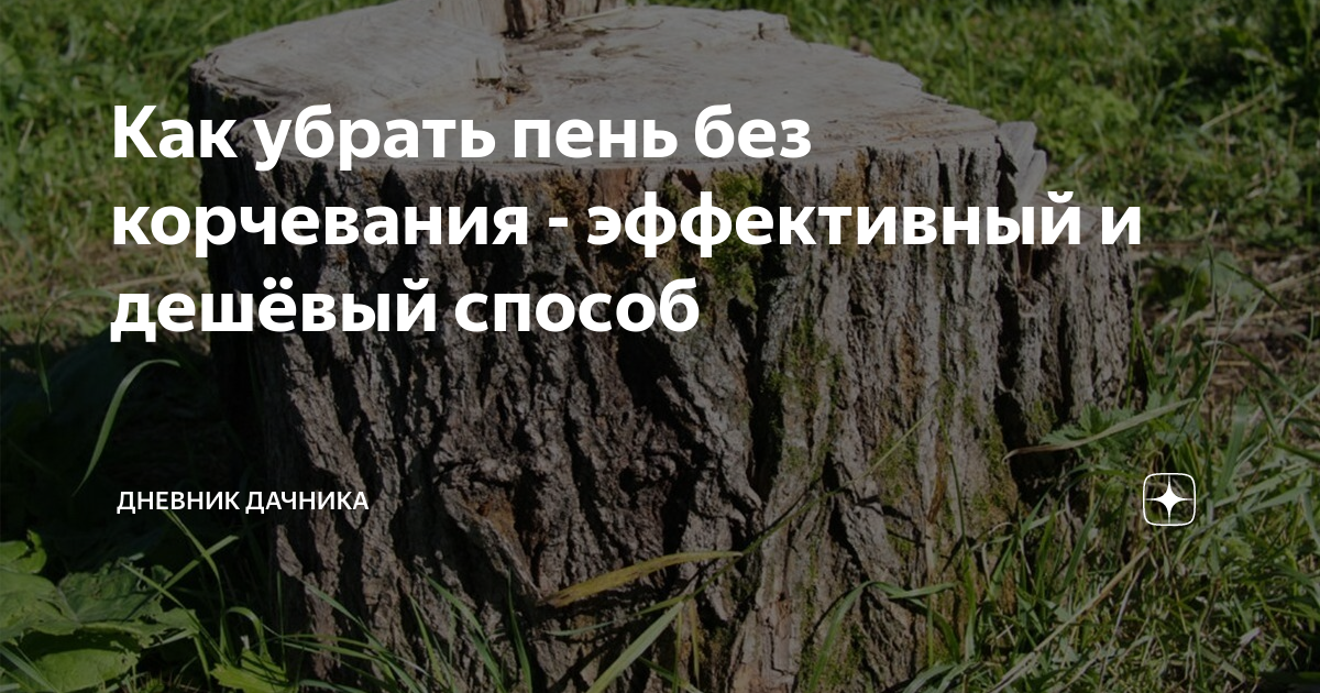 Как убрать пень. Как убрать пенек. Как избавиться от пня акации