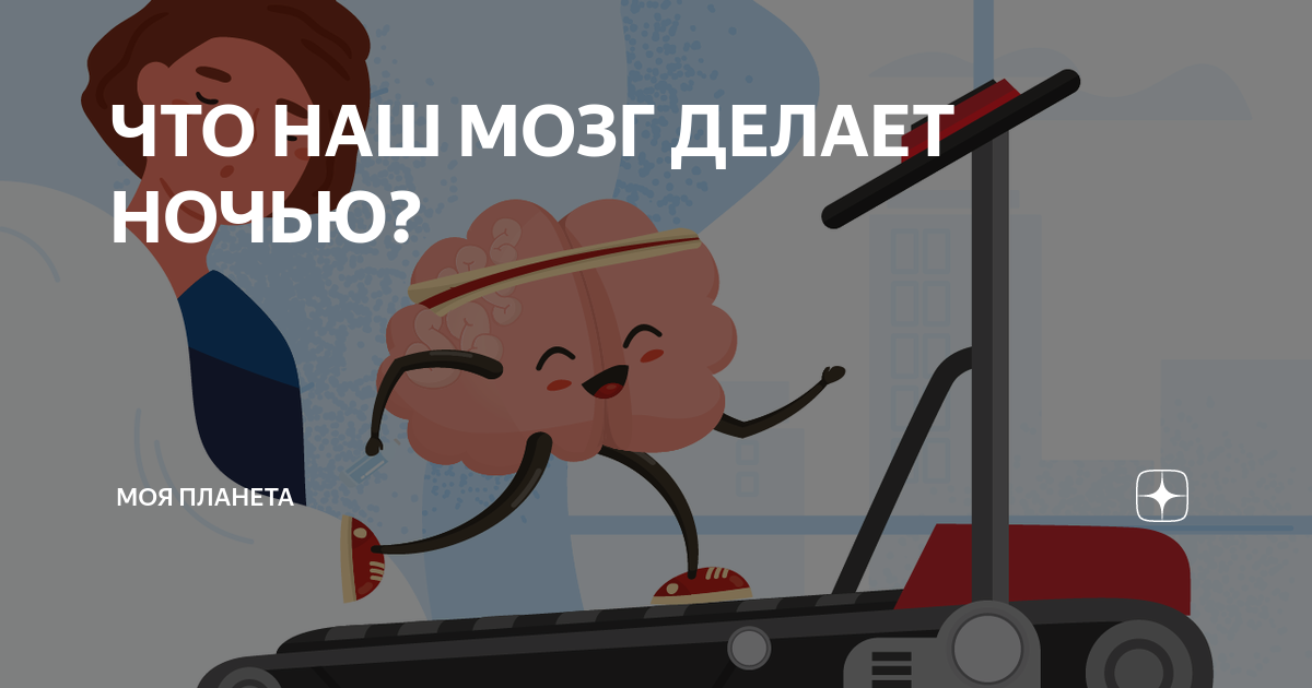 Что делать если мозг перестал соображать. Что делает мозг. что делает мозг ночью. что делать если мозг не соображает.