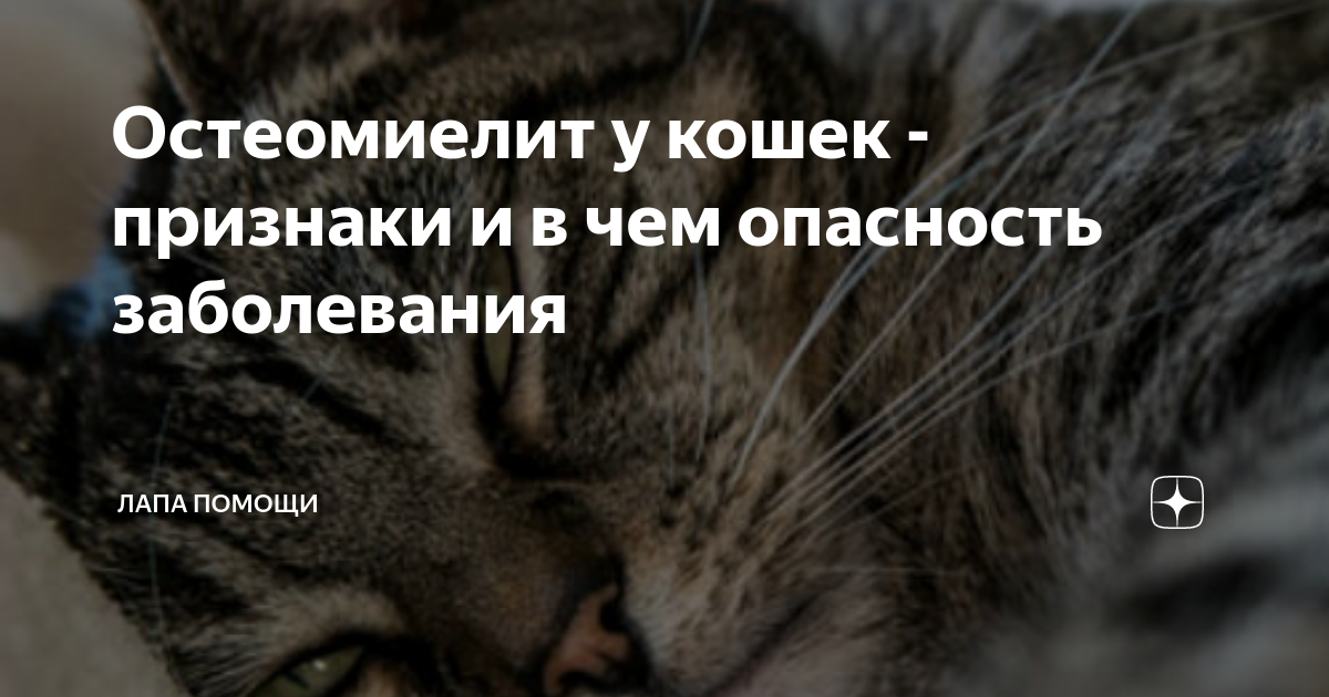 Утомляемость и слабость