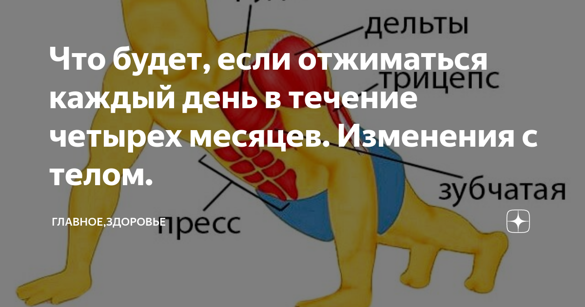 Что будет если отжиматься каждый день. Отжимания каждый день. Если отжимания каждый день что будет. Что если в течении дня отжиматься.