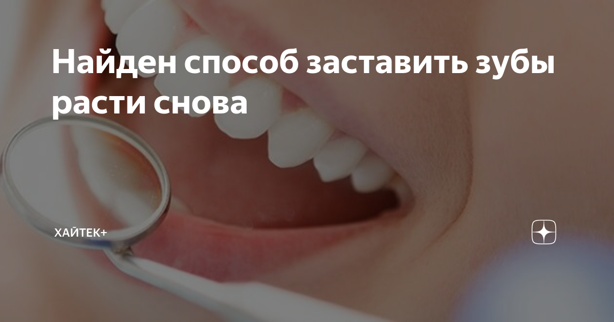 могут ли зубы вырасти заново