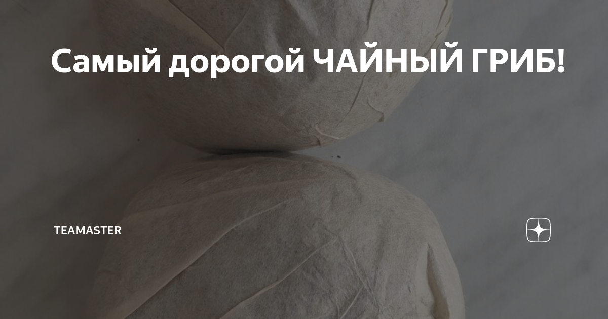 Самый дорогой ЧАЙНЫЙ ГРИБ! | TeaMaster | Дзен