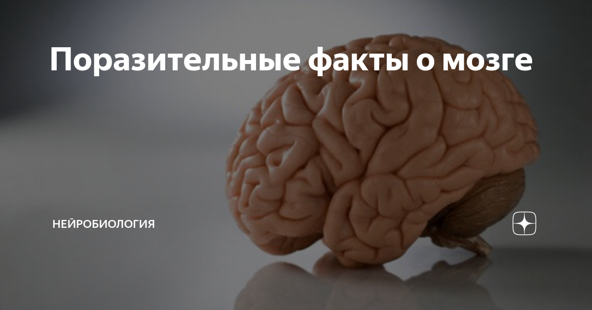 Интересные факты о коже. Поразительный факт. Удивительные факты о природе. Поразительные факты. 1000 фактов.